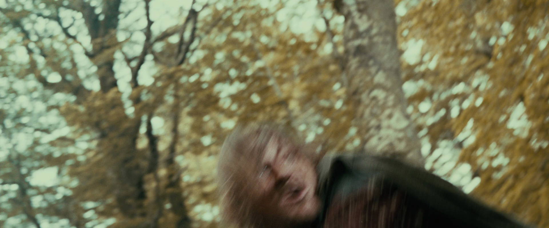 The Lord of the Rings: The Fellowship of the Ring (2001) HD screenshot 22304
