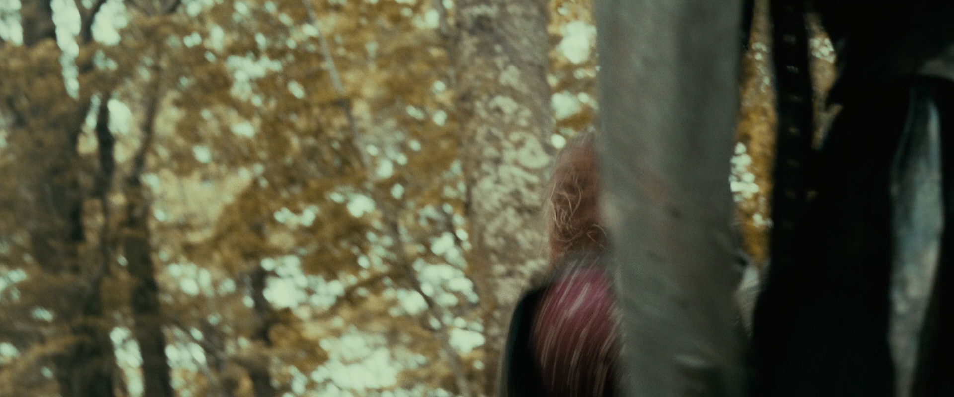 The Lord of the Rings: The Fellowship of the Ring (2001) screencap 22305