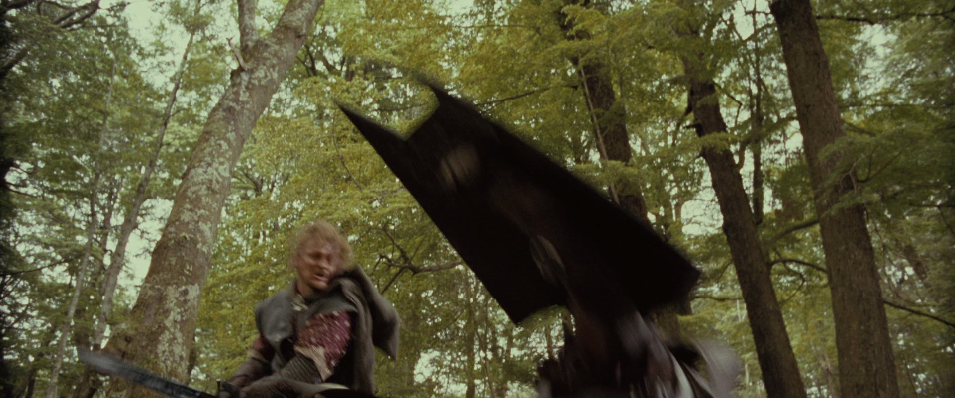 The Lord of the Rings: The Fellowship of the Ring (2001) movie still 22306