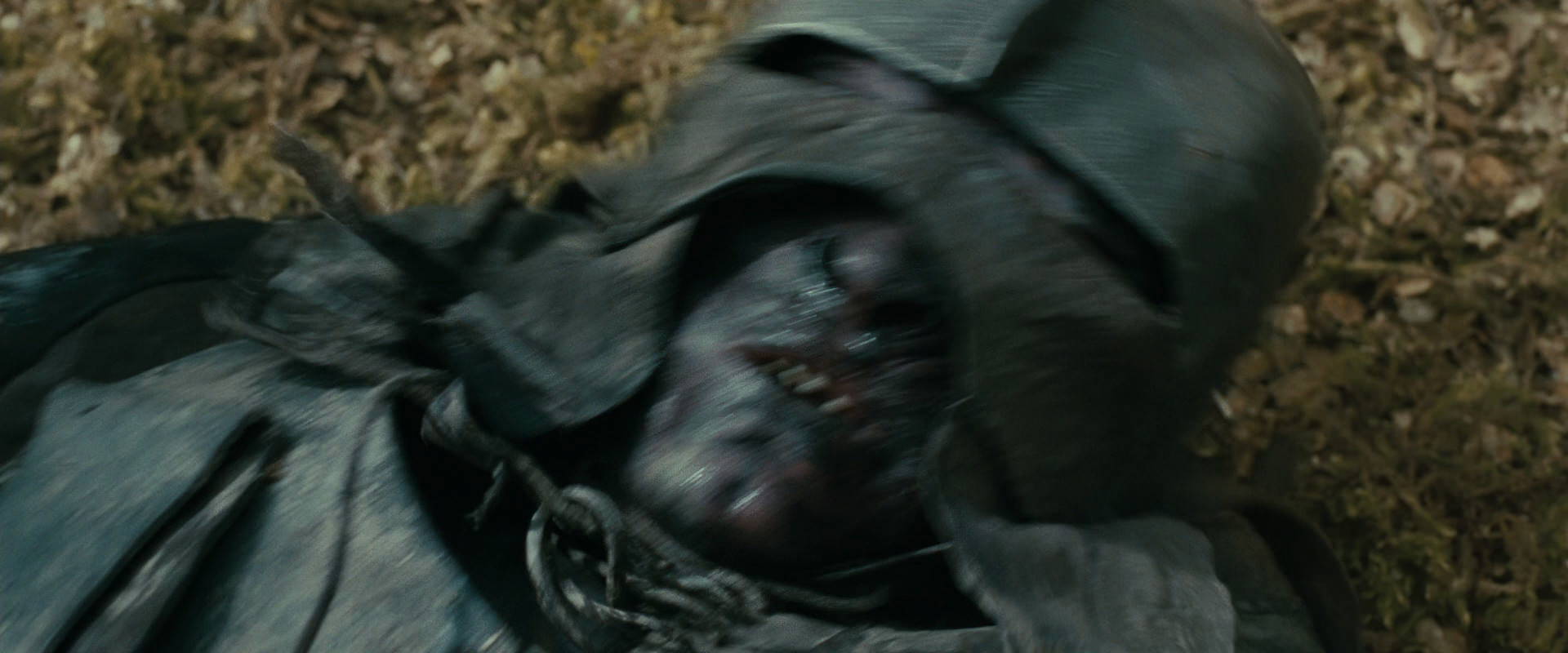 The Lord of the Rings: The Fellowship of the Ring (2001) screencap 22308