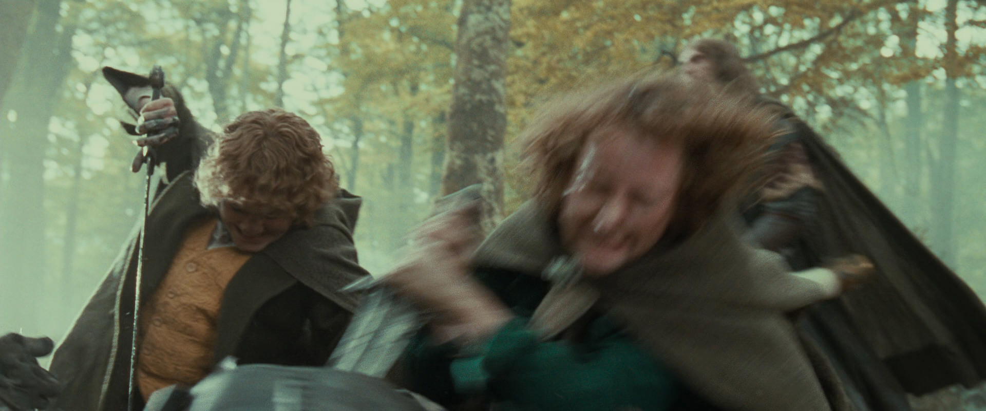 The Lord of the Rings: The Fellowship of the Ring (2001) screencap 22311