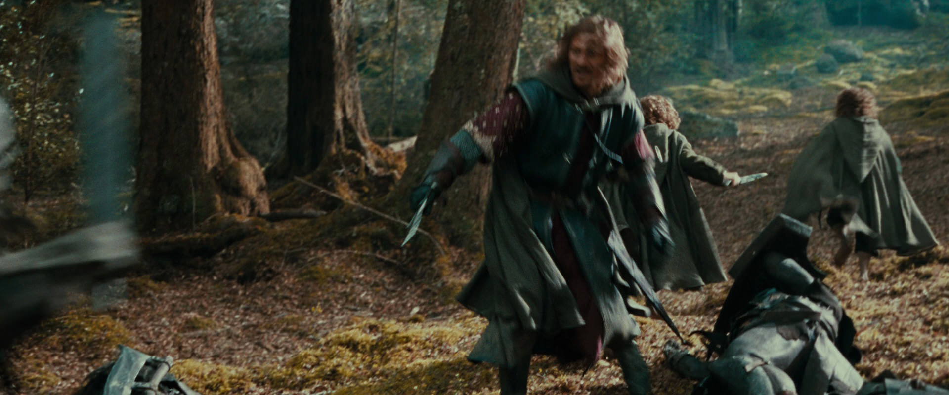 The Lord of the Rings: The Fellowship of the Ring (2001) screencap 22317