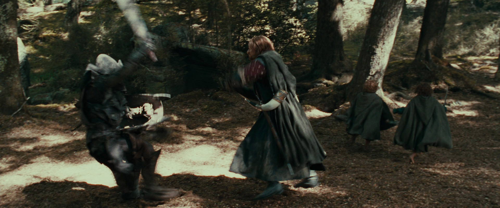 The Lord of the Rings: The Fellowship of the Ring (2001) screencap 22320