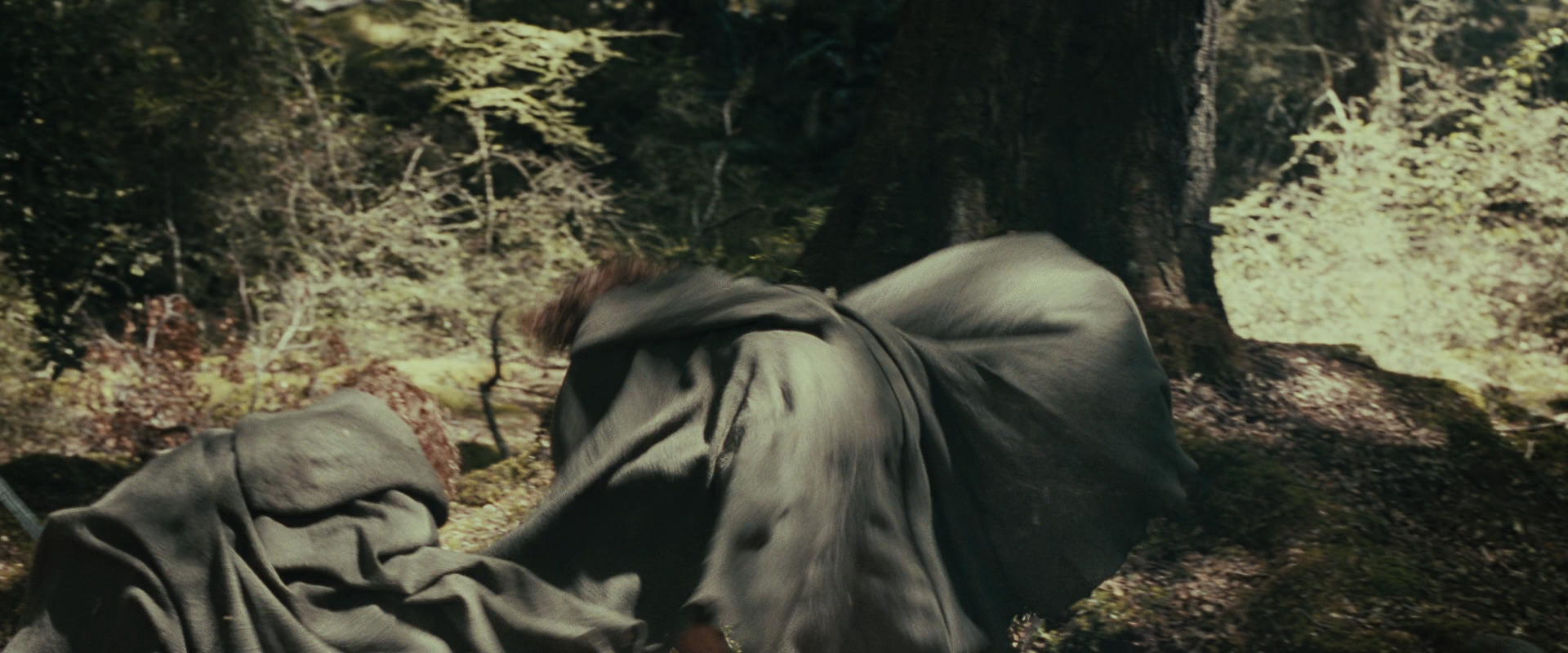The Lord of the Rings: The Fellowship of the Ring (2001) screencap 22323
