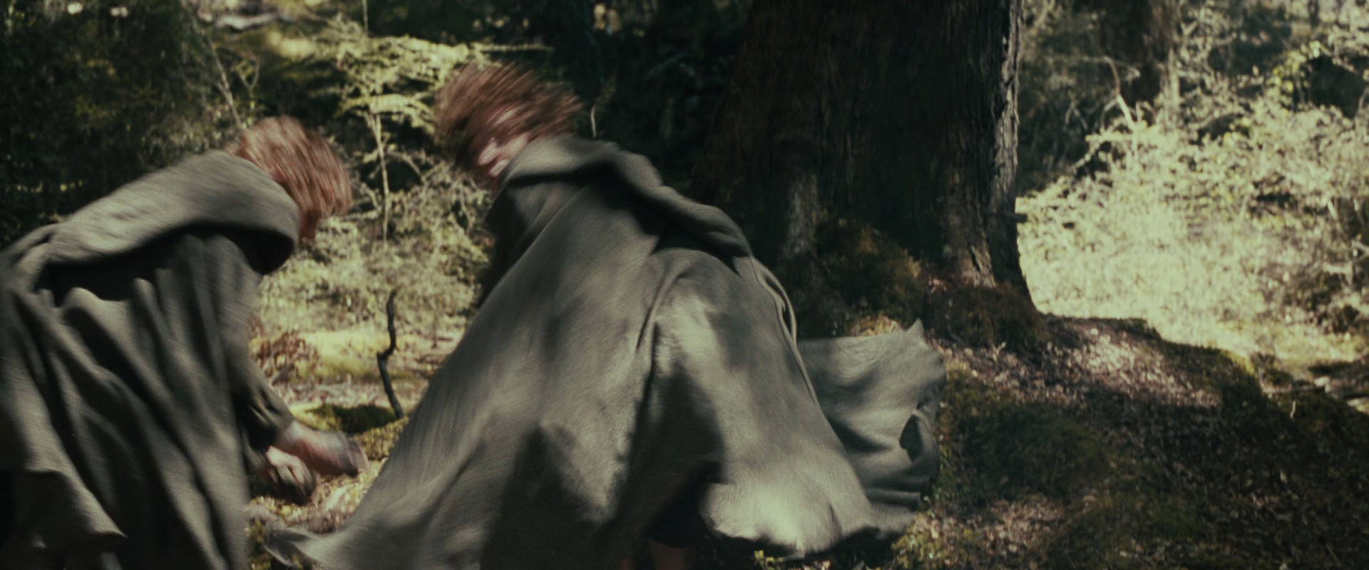 The Lord of the Rings: The Fellowship of the Ring (2001) movie still 22324
