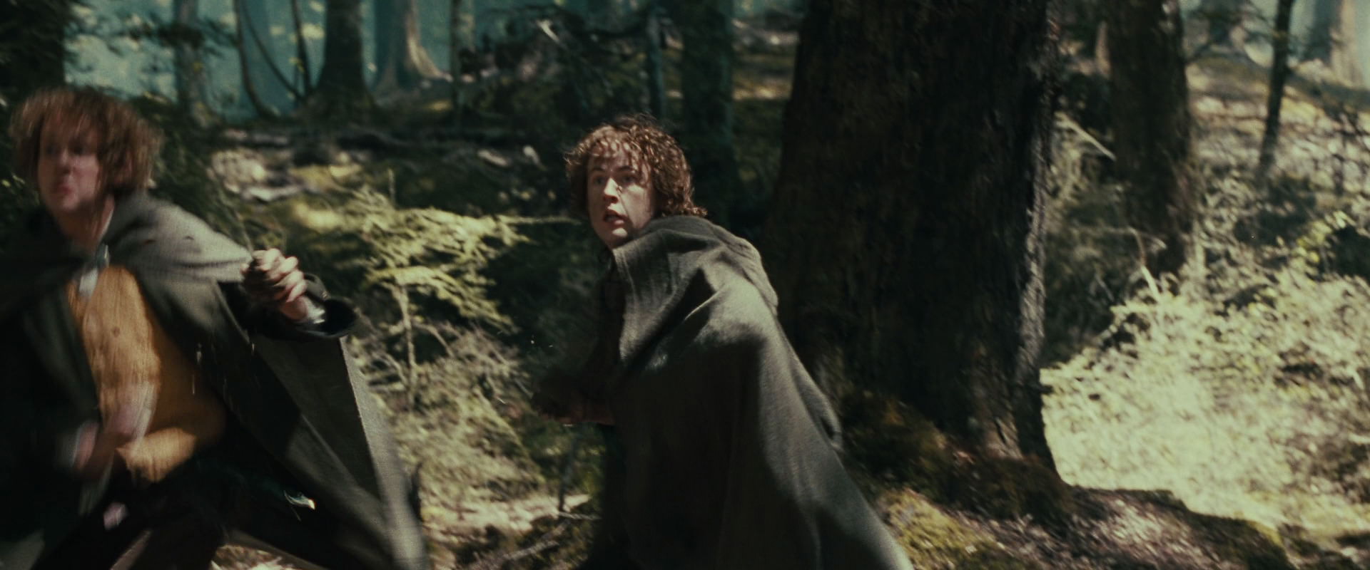 The Lord of the Rings: The Fellowship of the Ring (2001) HD screenshot 22325