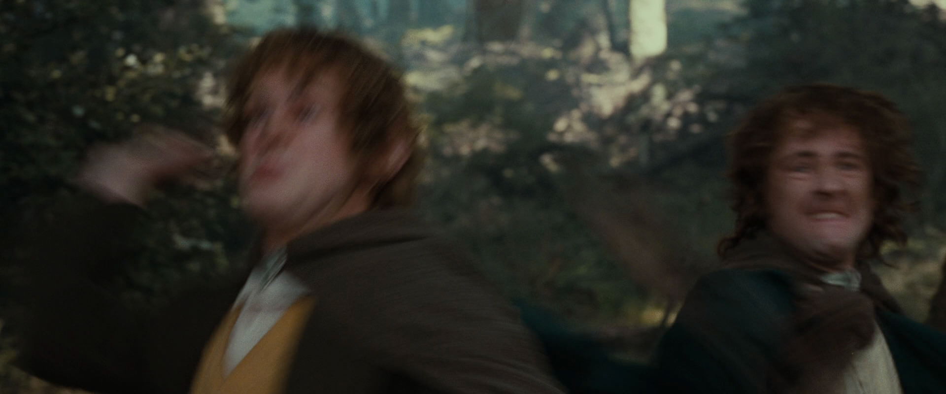 The Lord of the Rings: The Fellowship of the Ring (2001) screencap 22326