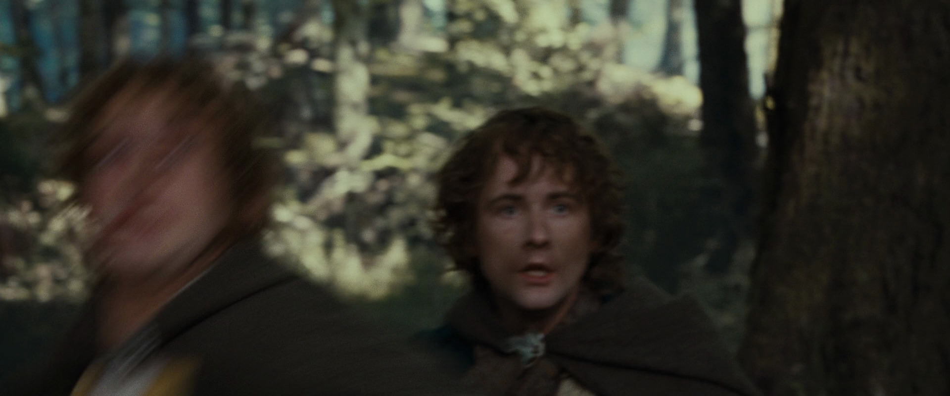 The Lord of the Rings: The Fellowship of the Ring (2001) screencap 22329