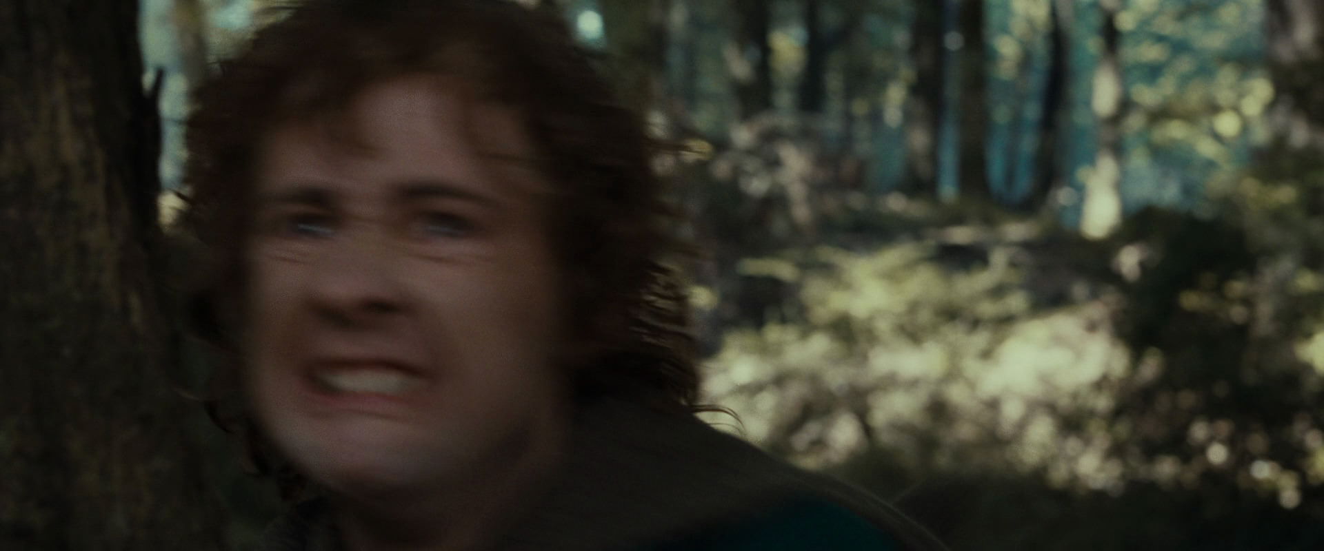The Lord of the Rings: The Fellowship of the Ring (2001) HD screenshot 22334