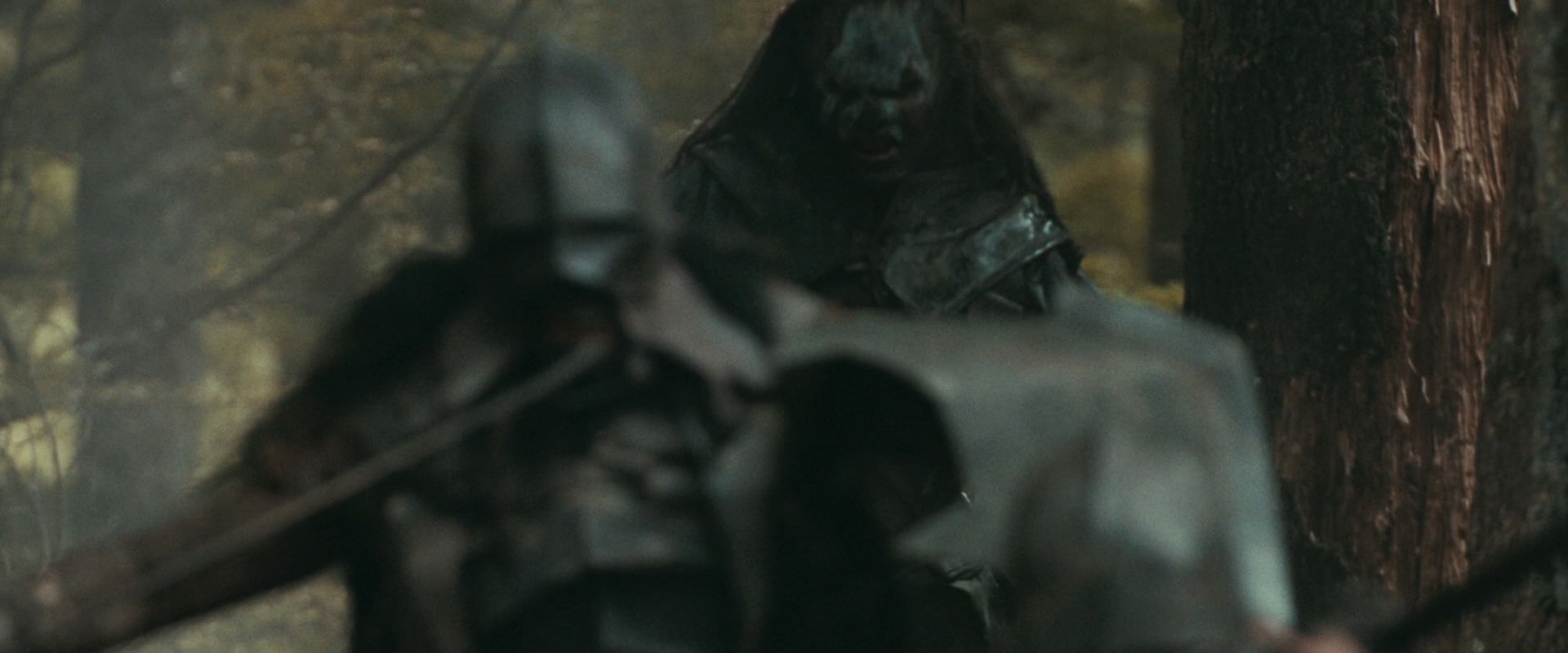 The Lord of the Rings: The Fellowship of the Ring (2001) movie still 22342