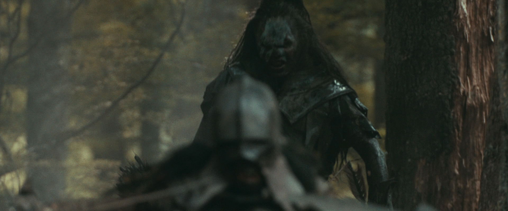 The Lord of the Rings: The Fellowship of the Ring (2001) HD screenshot 22343