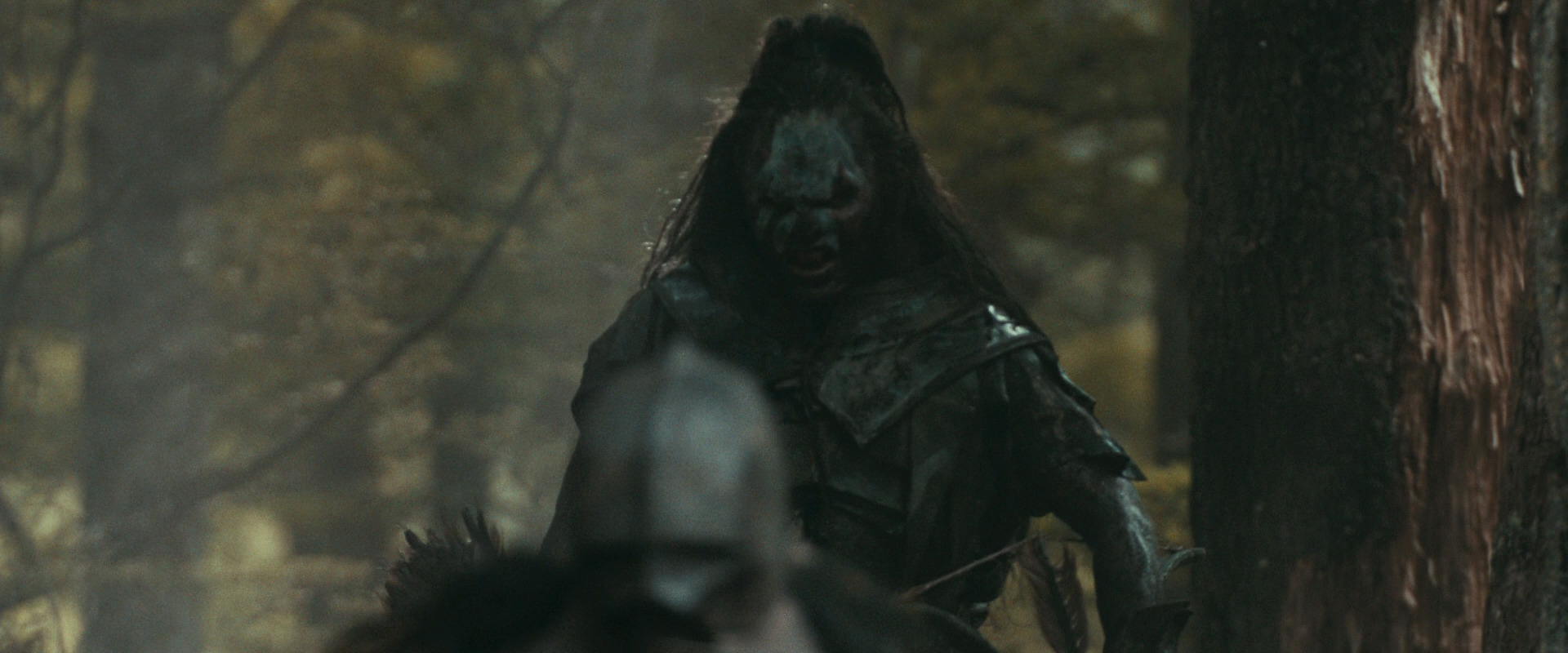 The Lord of the Rings: The Fellowship of the Ring (2001) screencap 22344