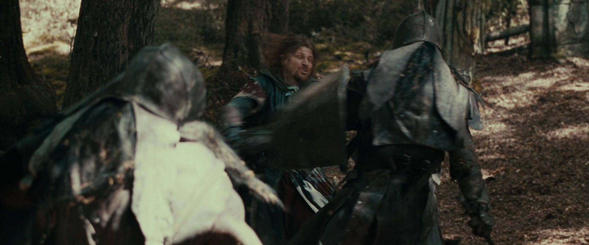The Lord of the Rings: The Fellowship of the Ring (2001) HD screenshot 22346