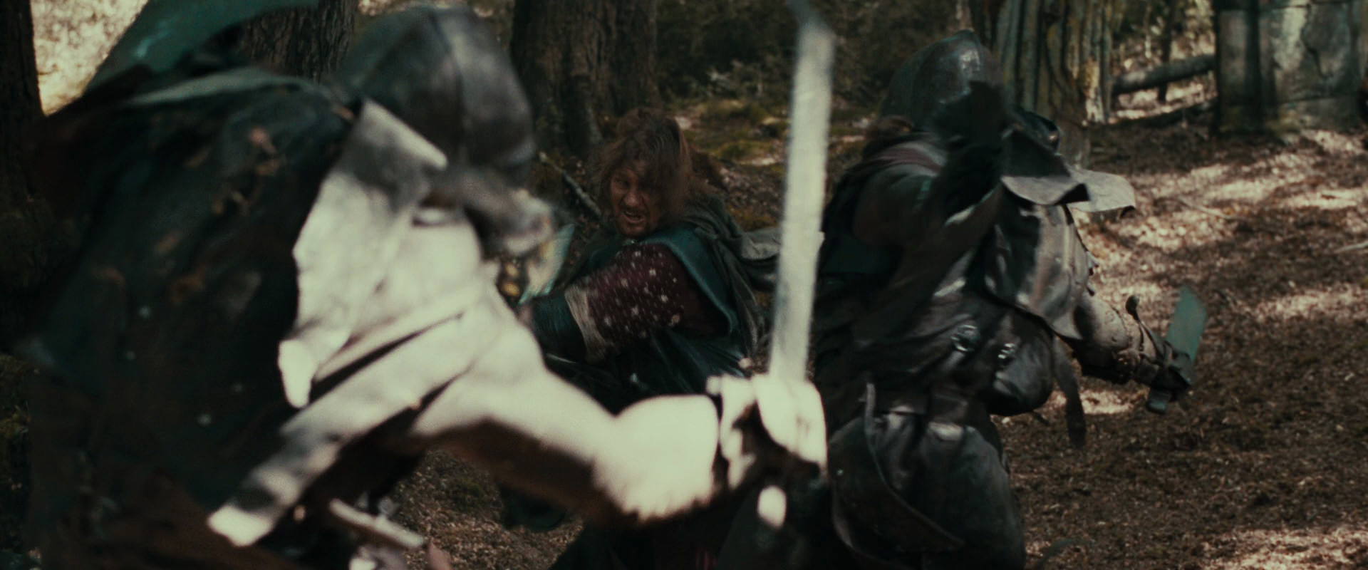 The Lord of the Rings: The Fellowship of the Ring (2001) screencap 22347