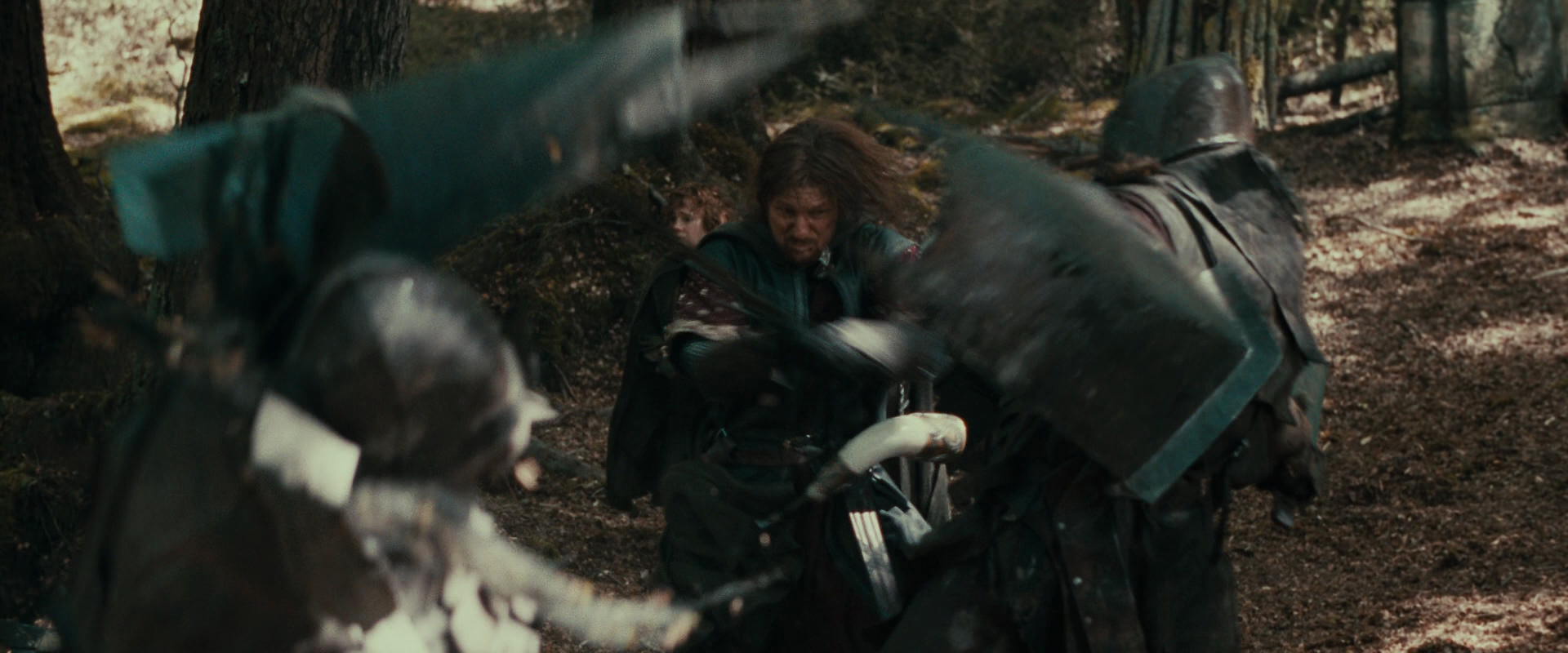 The Lord of the Rings: The Fellowship of the Ring (2001) movie still 22348