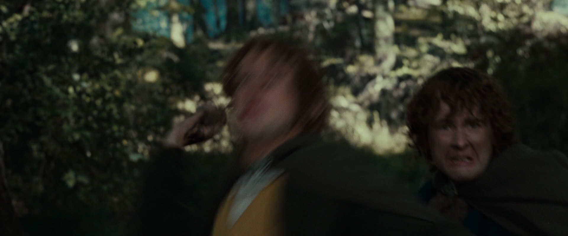 The Lord of the Rings: The Fellowship of the Ring (2001) screencap 22353