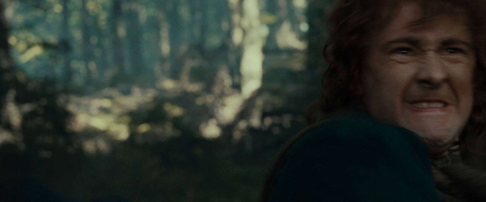 The Lord of the Rings: The Fellowship of the Ring (2001) screencap 22356