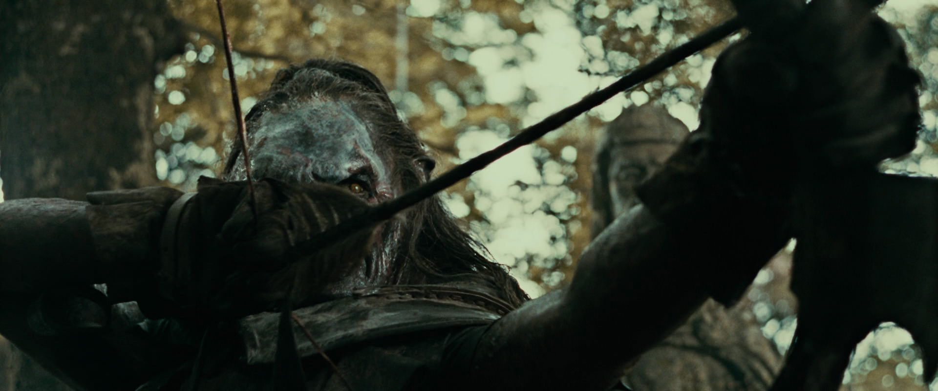 The Lord of the Rings: The Fellowship of the Ring (2001) HD screenshot 22367