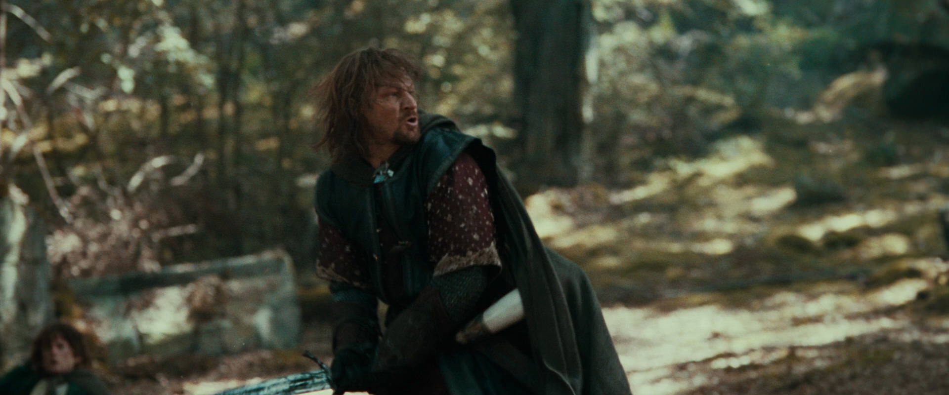 The Lord of the Rings: The Fellowship of the Ring (2001) movie still 22369