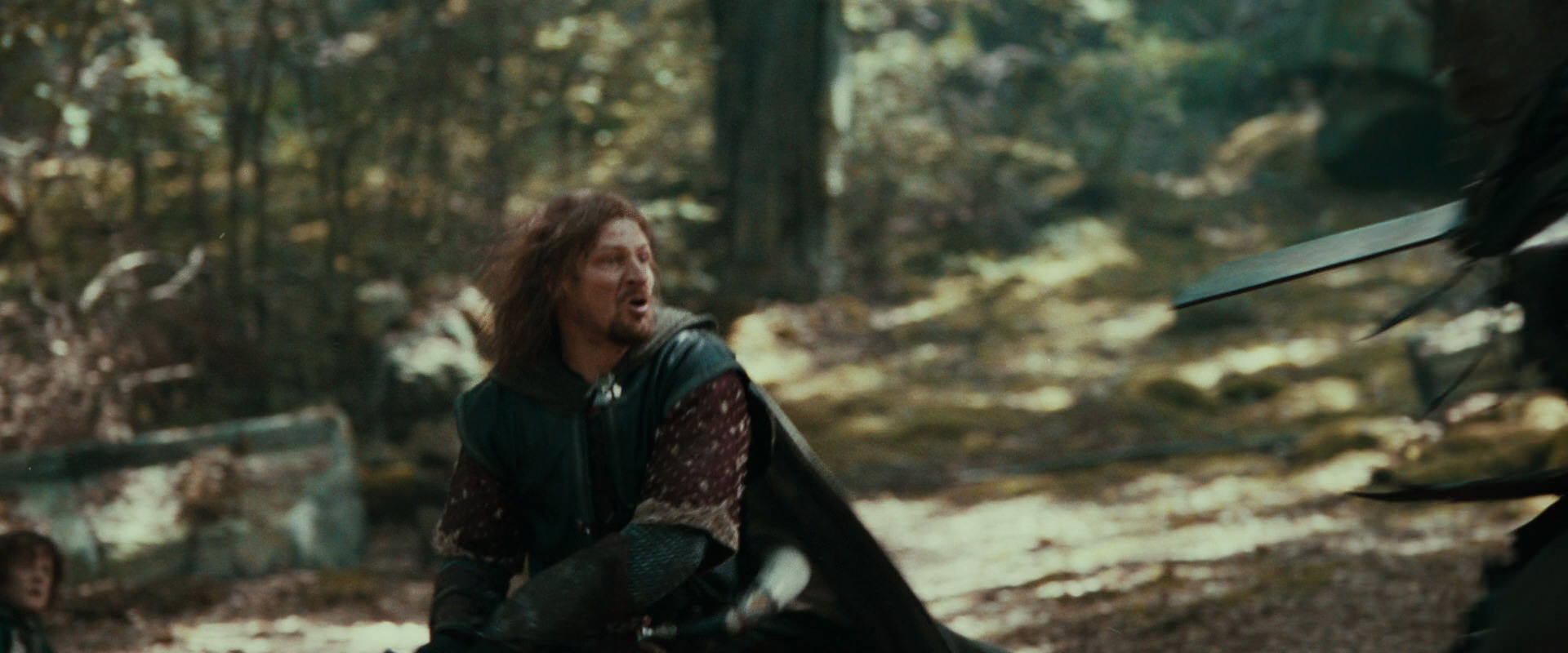The Lord of the Rings: The Fellowship of the Ring (2001) HD screenshot 22370