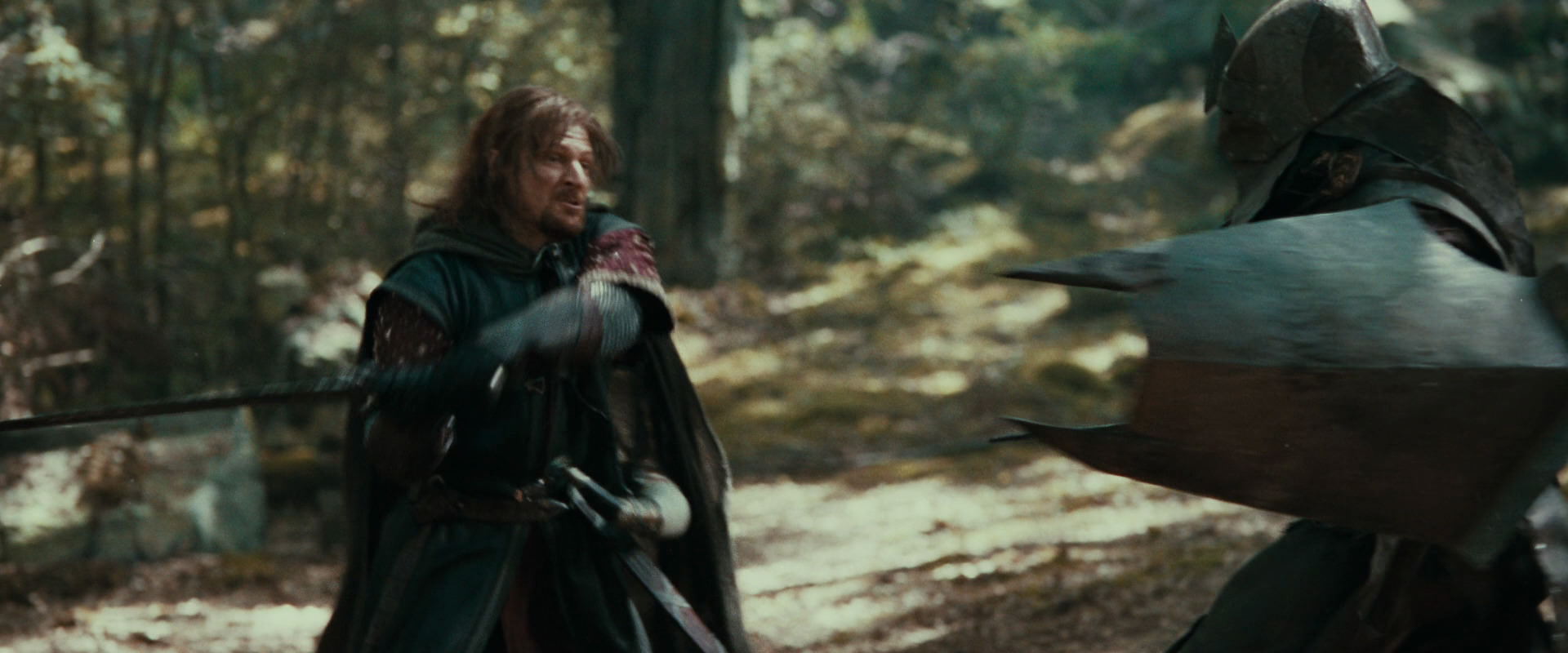 The Lord of the Rings: The Fellowship of the Ring (2001) screencap 22371