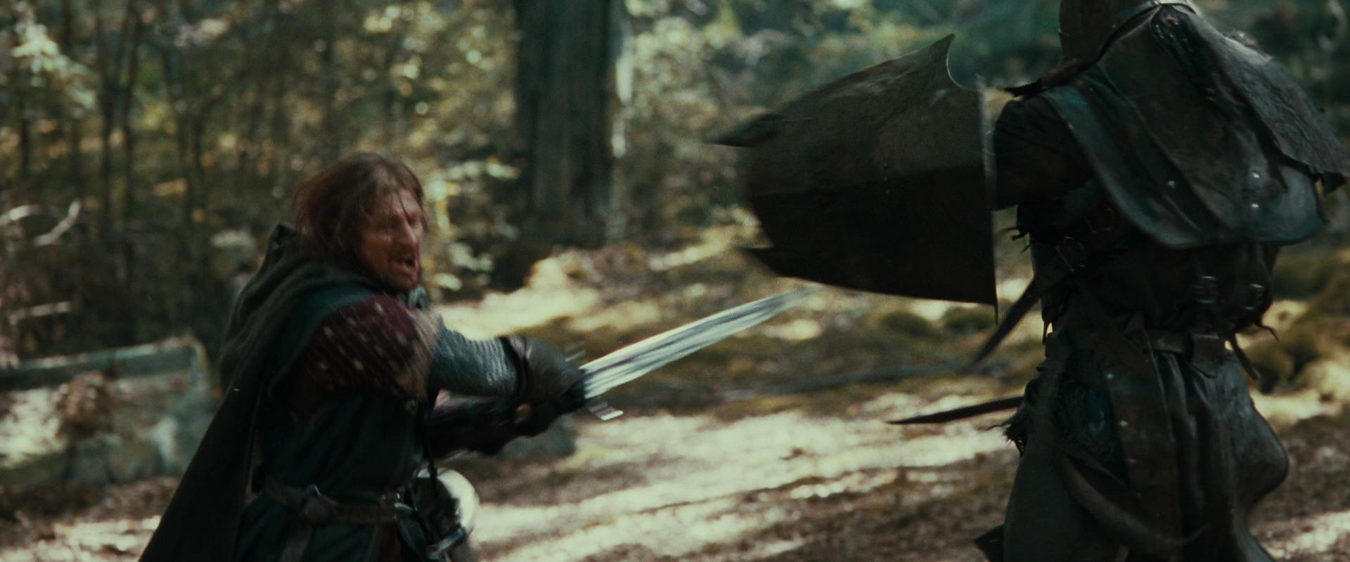 The Lord of the Rings: The Fellowship of the Ring (2001) movie still 22372