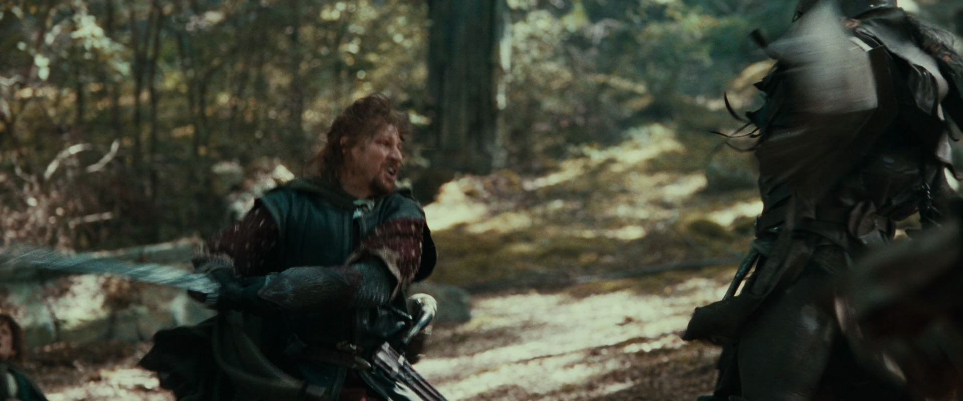 The Lord of the Rings: The Fellowship of the Ring (2001) screencap 22374