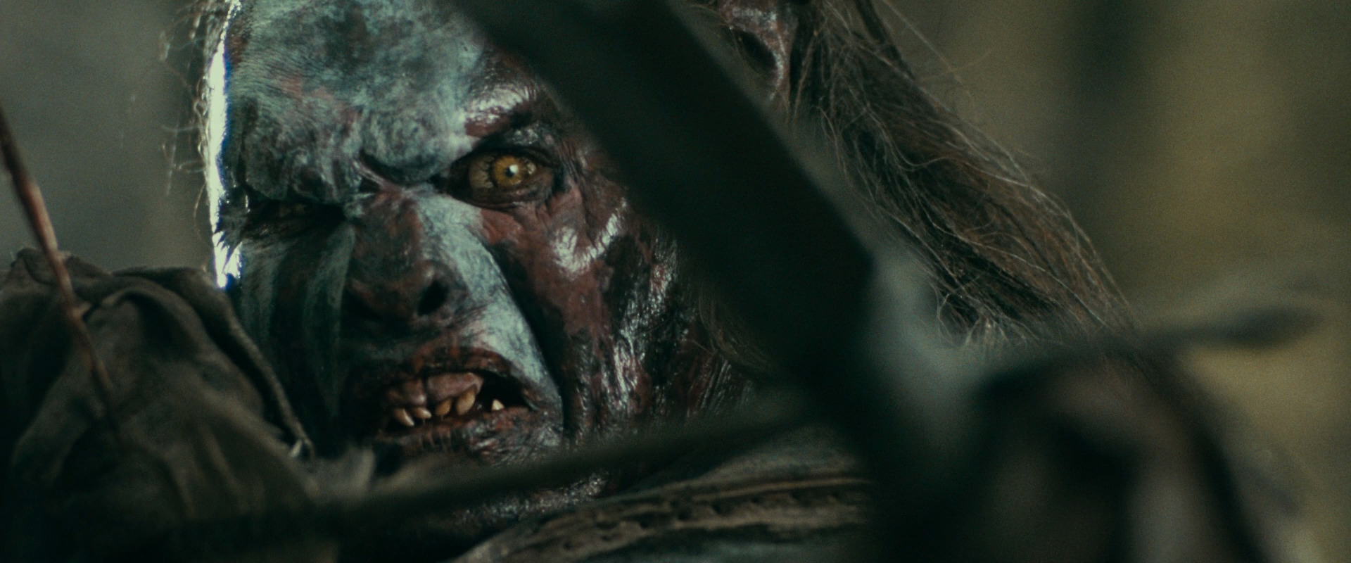 The Lord of the Rings: The Fellowship of the Ring (2001) HD screenshot 22376