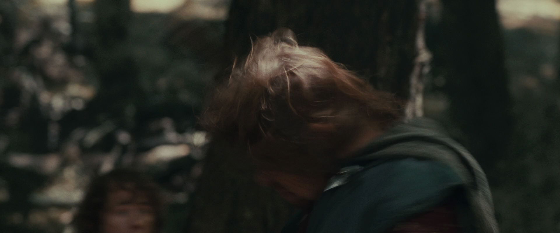 The Lord of the Rings: The Fellowship of the Ring (2001) HD screenshot 22379