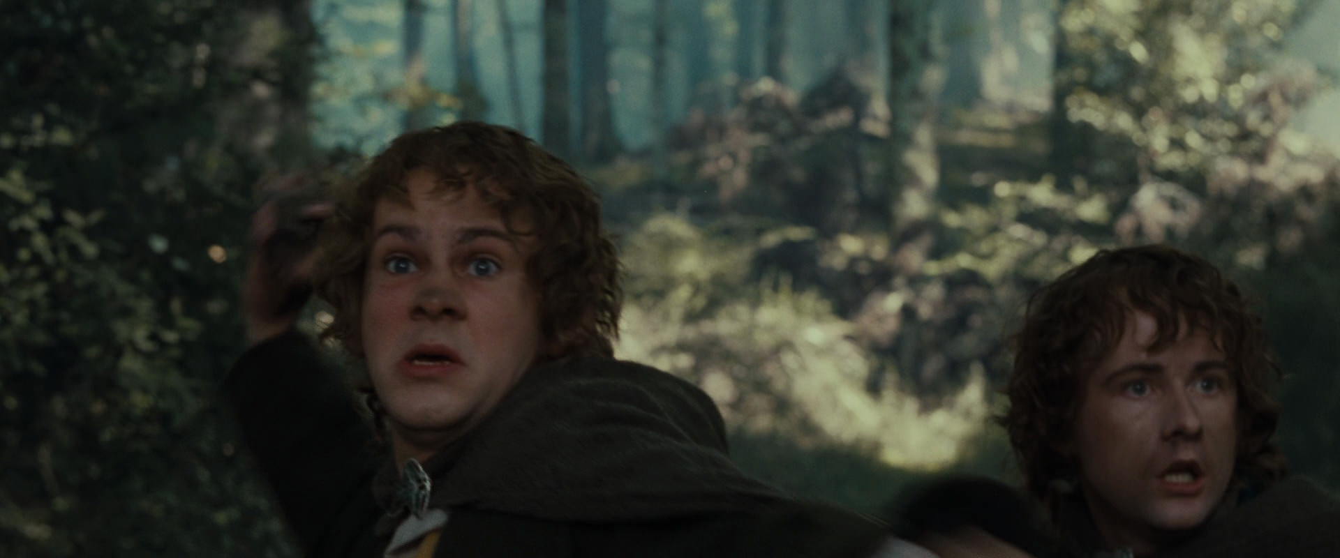 The Lord of the Rings: The Fellowship of the Ring (2001) screencap 22383