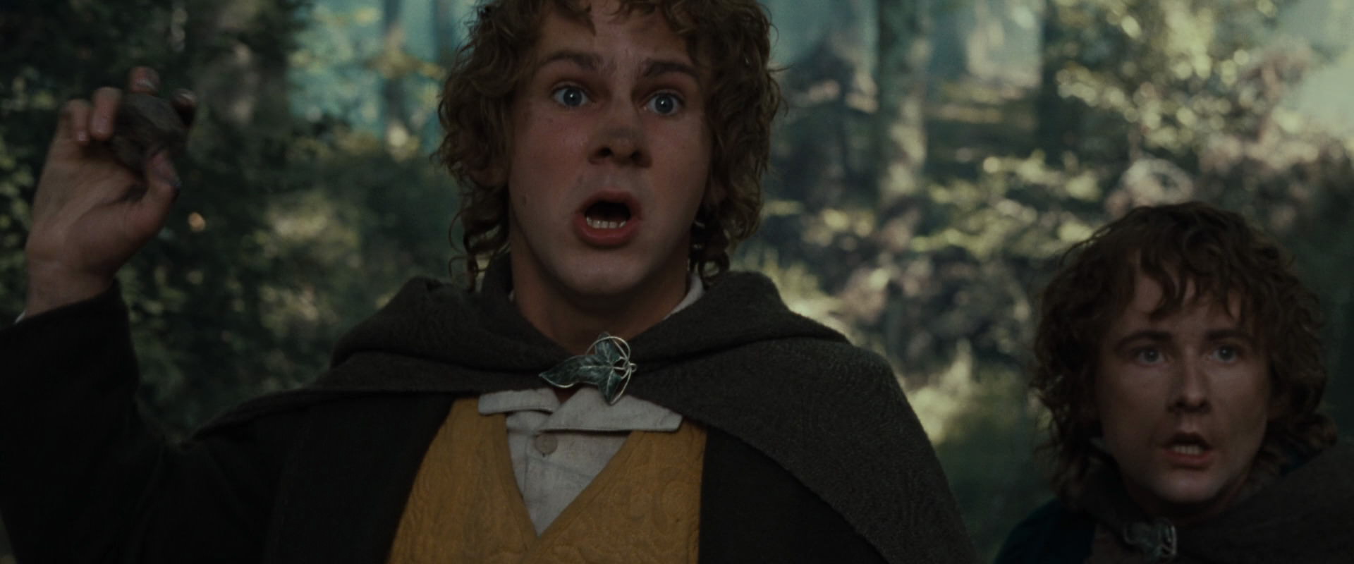 The Lord of the Rings: The Fellowship of the Ring (2001) movie still 22384