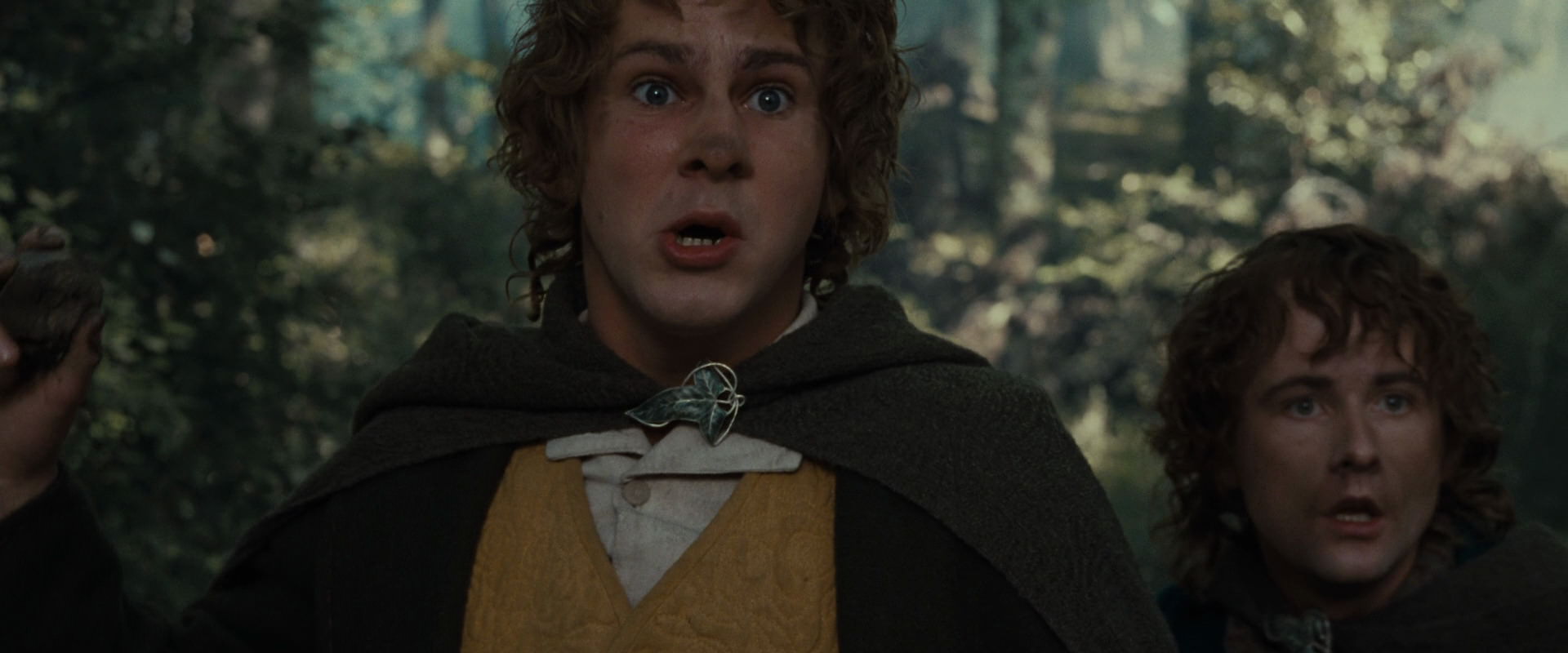 The Lord of the Rings: The Fellowship of the Ring (2001) HD screenshot 22385