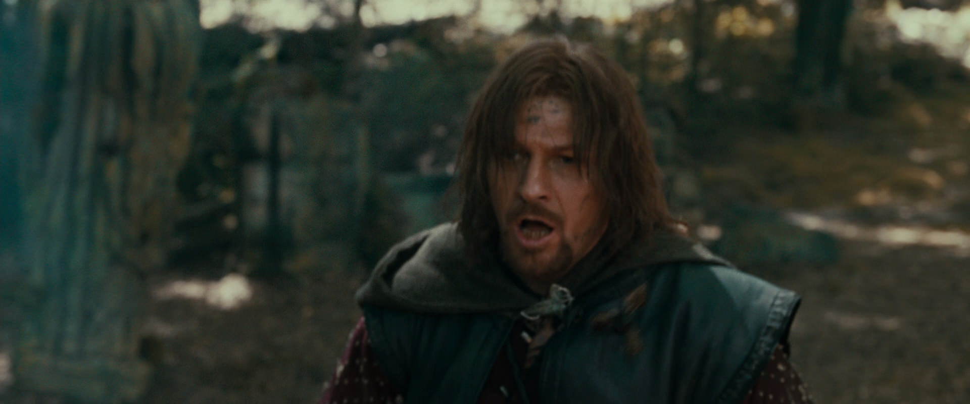 The Lord of the Rings: The Fellowship of the Ring (2001) screencap 22386