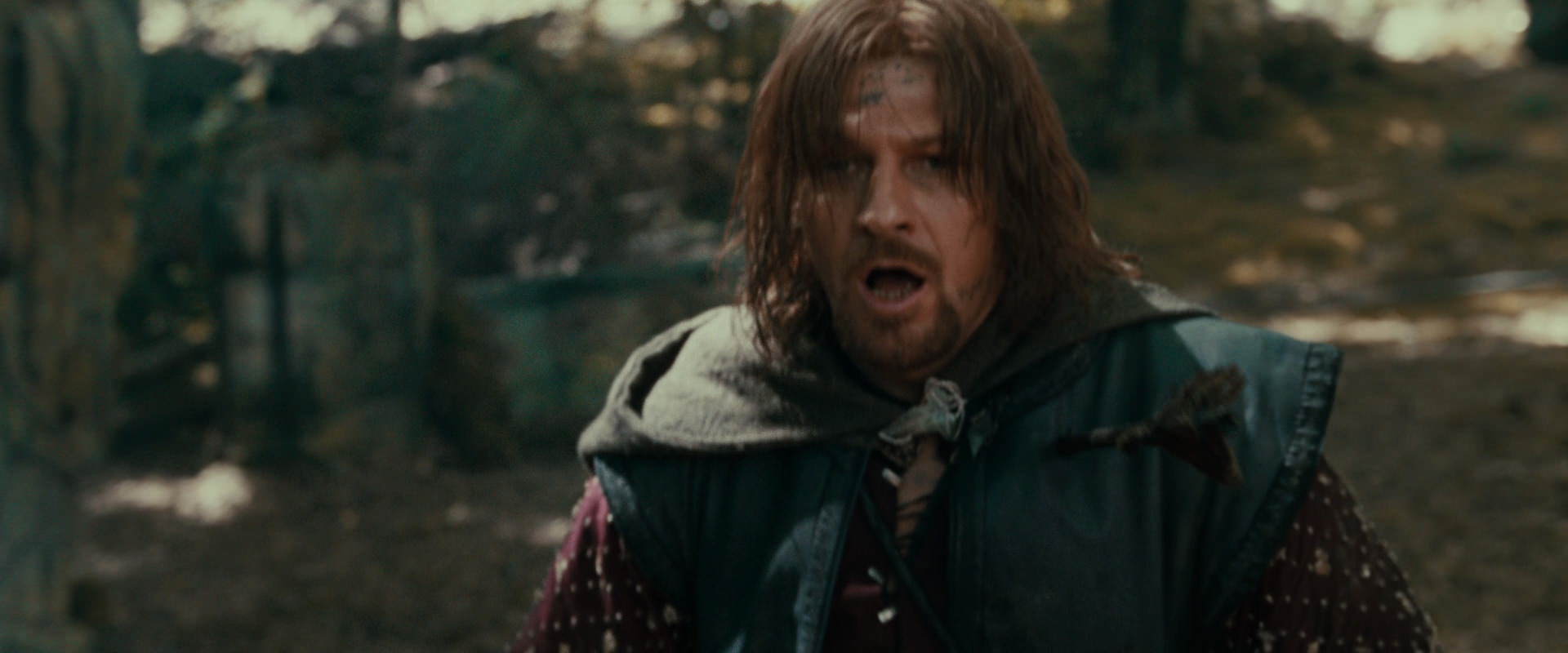 The Lord of the Rings: The Fellowship of the Ring (2001) HD screenshot 22388