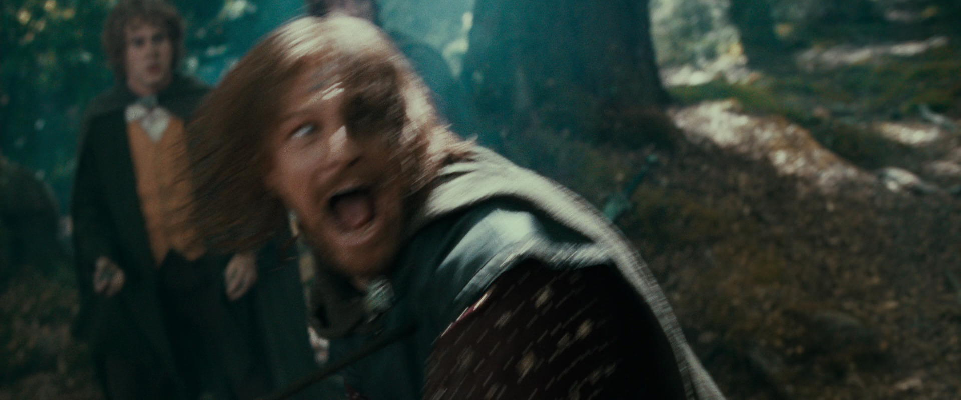 The Lord of the Rings: The Fellowship of the Ring (2001) screencap 22401