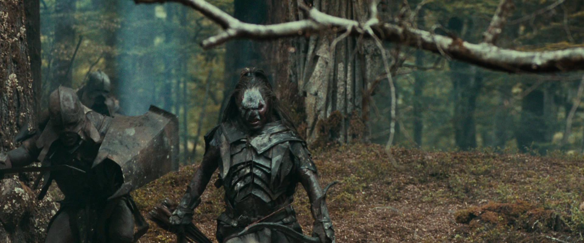 The Lord of the Rings: The Fellowship of the Ring (2001) screencap 22407