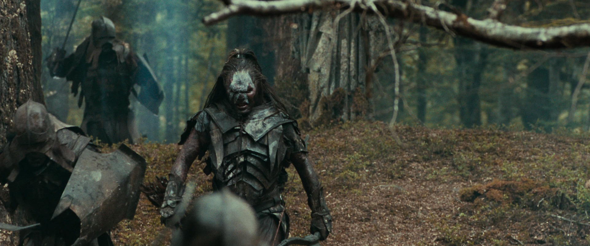 The Lord of the Rings: The Fellowship of the Ring (2001) HD screenshot 22409