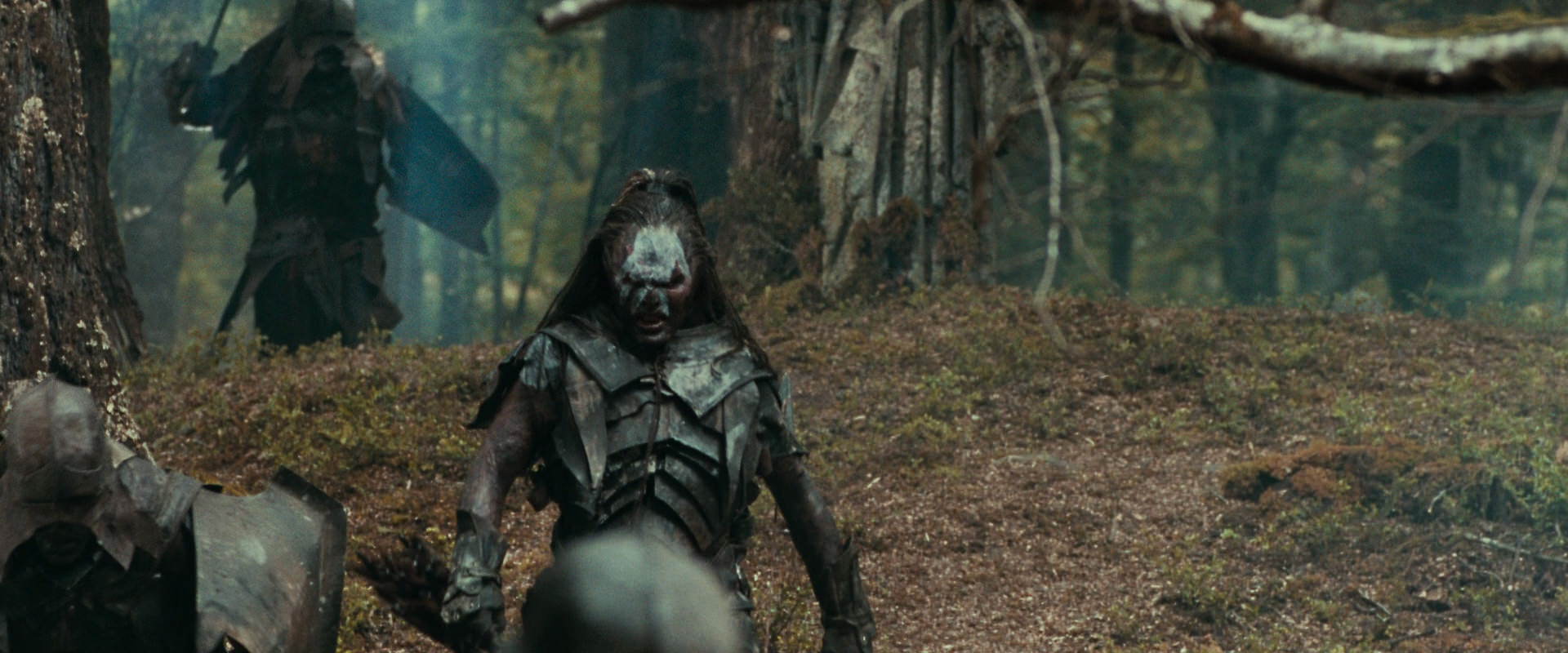 The Lord of the Rings: The Fellowship of the Ring (2001) screencap 22410