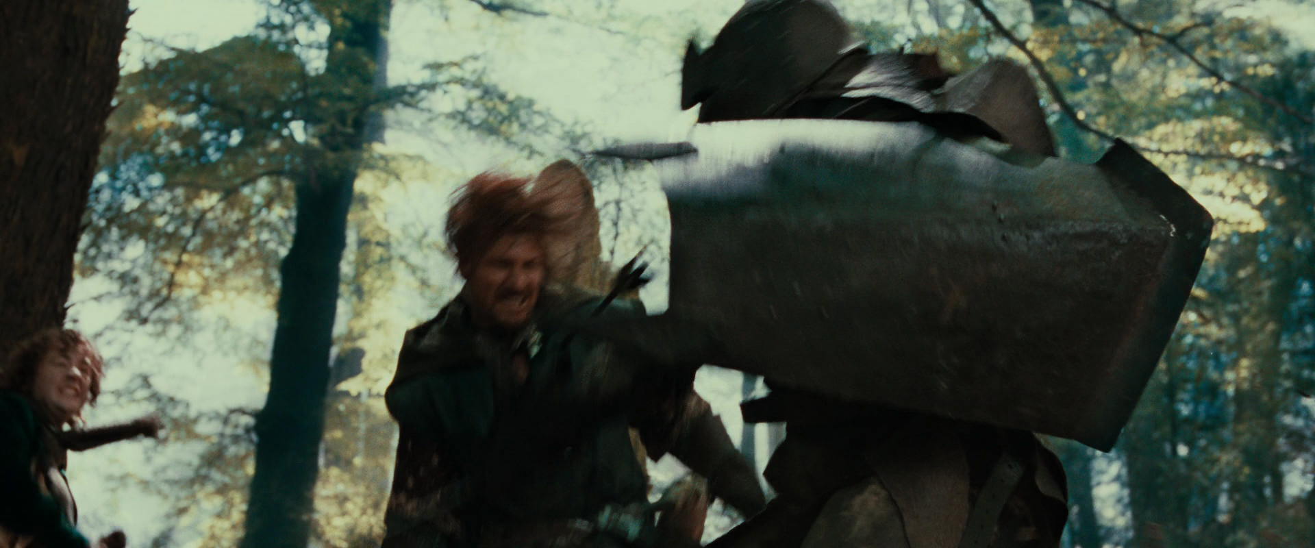 The Lord of the Rings: The Fellowship of the Ring (2001) screencap 22413