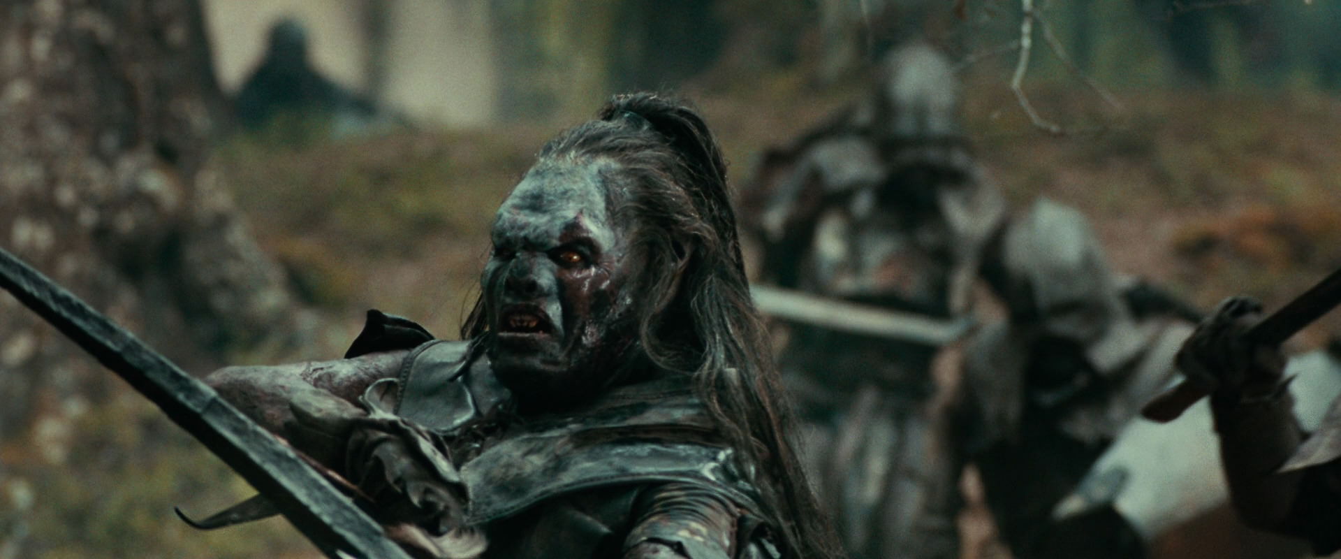 The Lord of the Rings: The Fellowship of the Ring (2001) screencap 22416