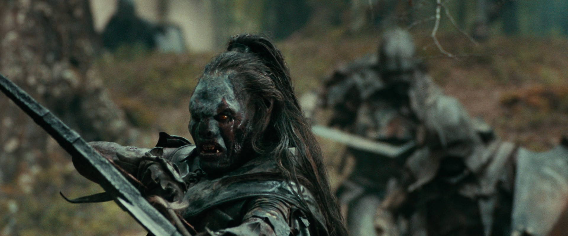 The Lord of the Rings: The Fellowship of the Ring (2001) movie still 22417