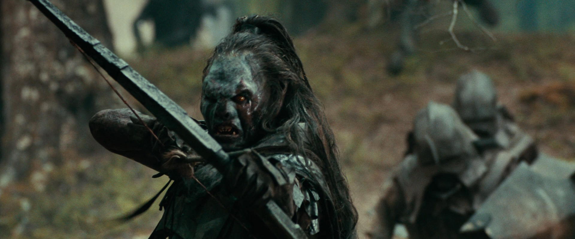 The Lord of the Rings: The Fellowship of the Ring (2001) screencap 22419