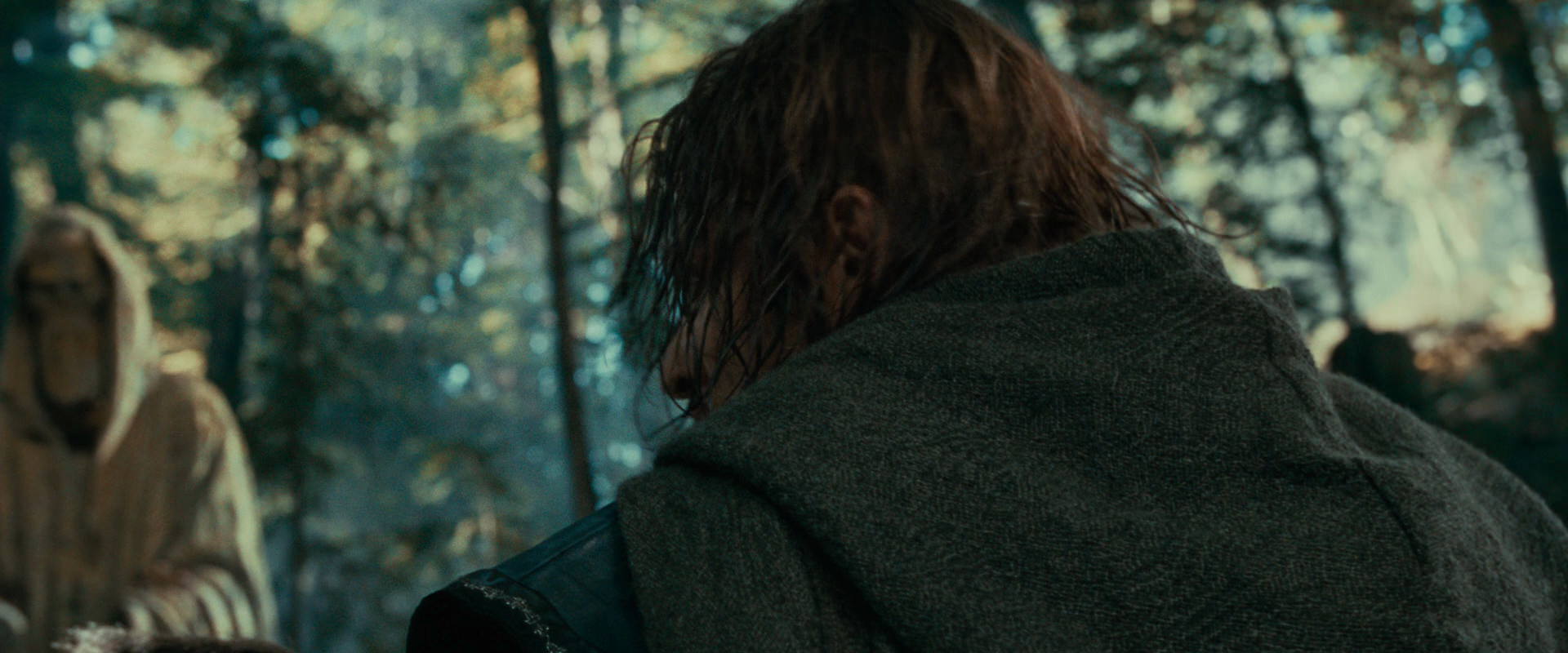 The Lord of the Rings: The Fellowship of the Ring (2001) HD screenshot 22421