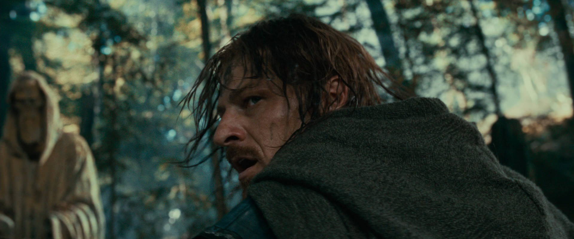 The Lord of the Rings: The Fellowship of the Ring (2001) screencap 22422