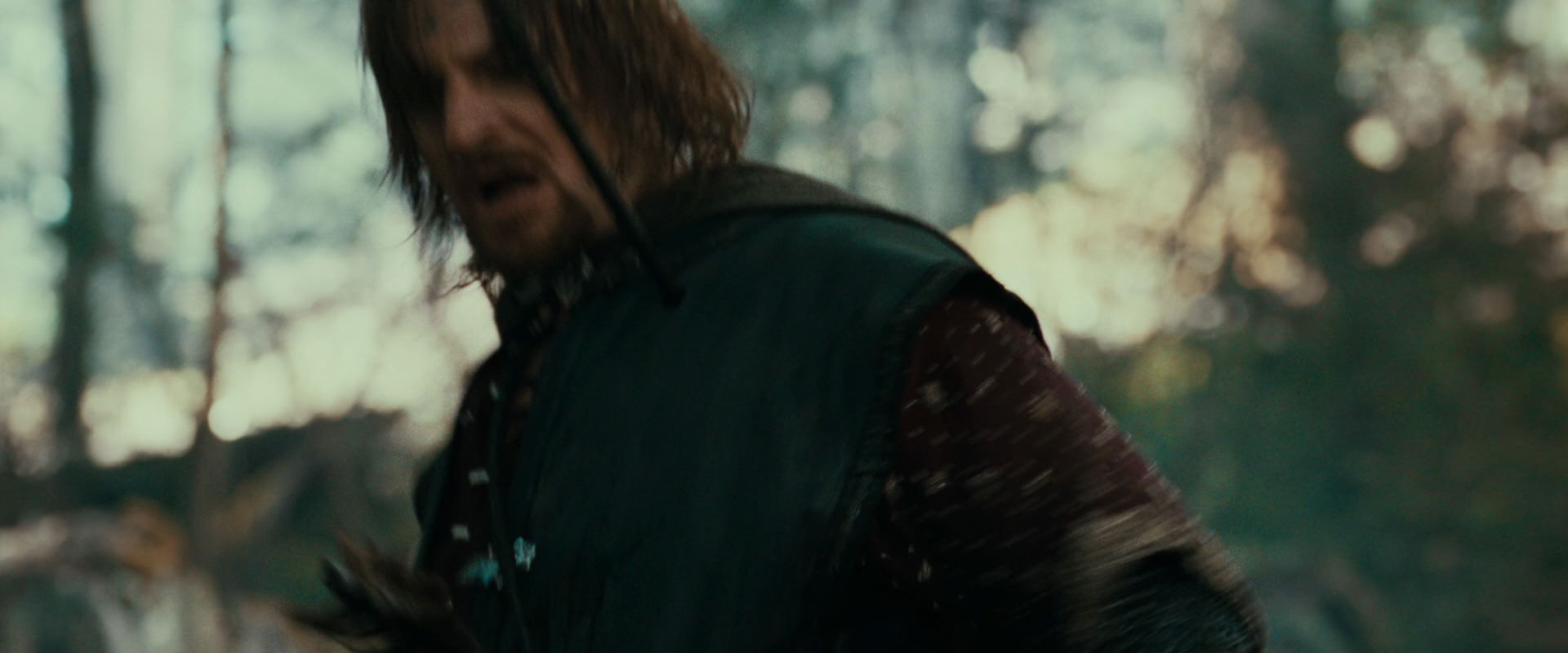The Lord of the Rings: The Fellowship of the Ring (2001) screencap 22425
