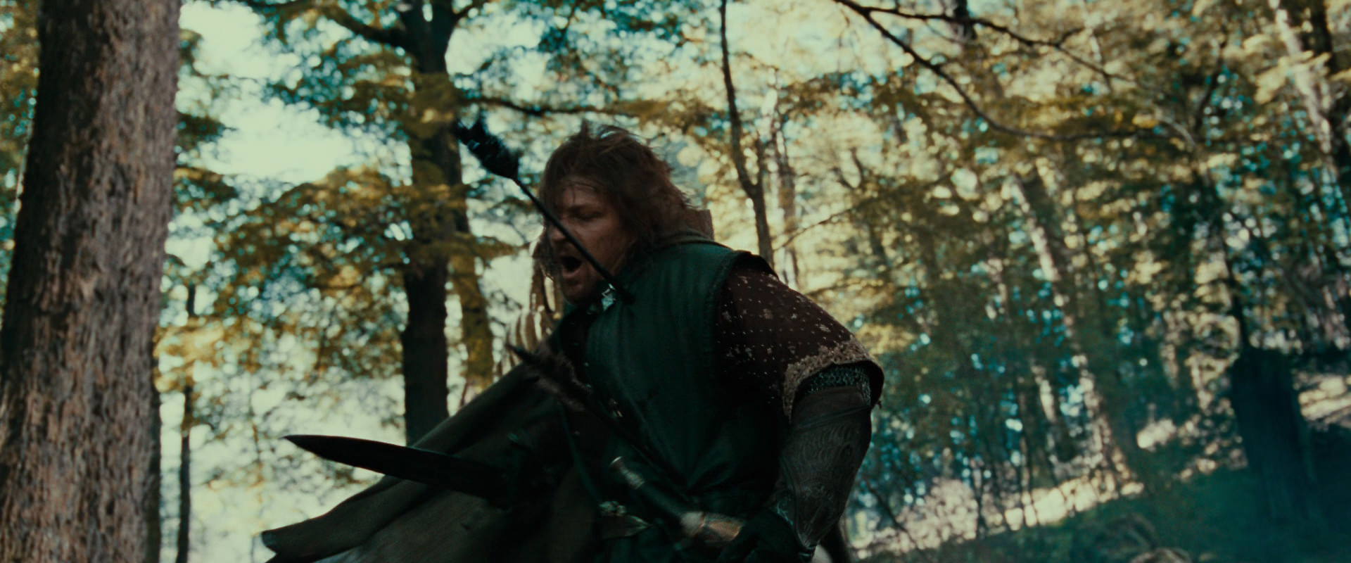 The Lord of the Rings: The Fellowship of the Ring (2001) screencap 22428