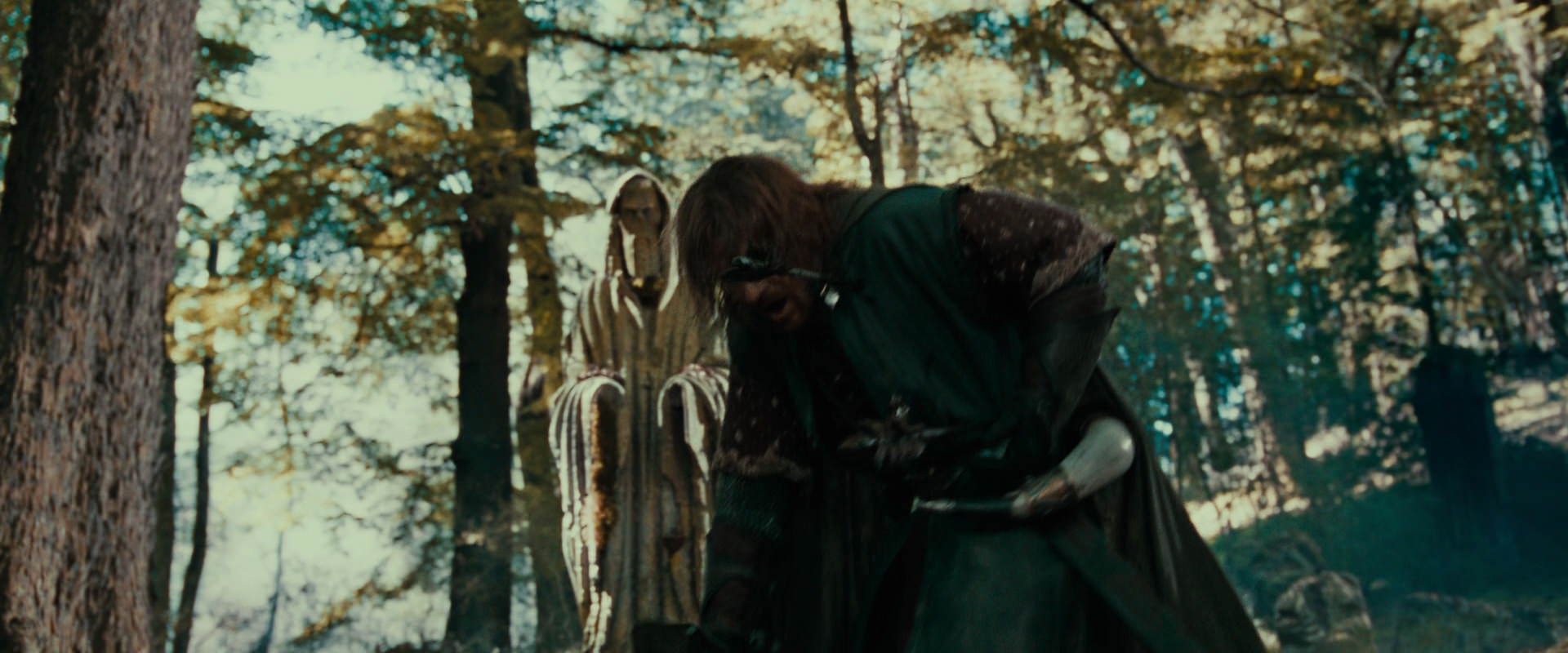 The Lord of the Rings: The Fellowship of the Ring (2001) HD screenshot 22430