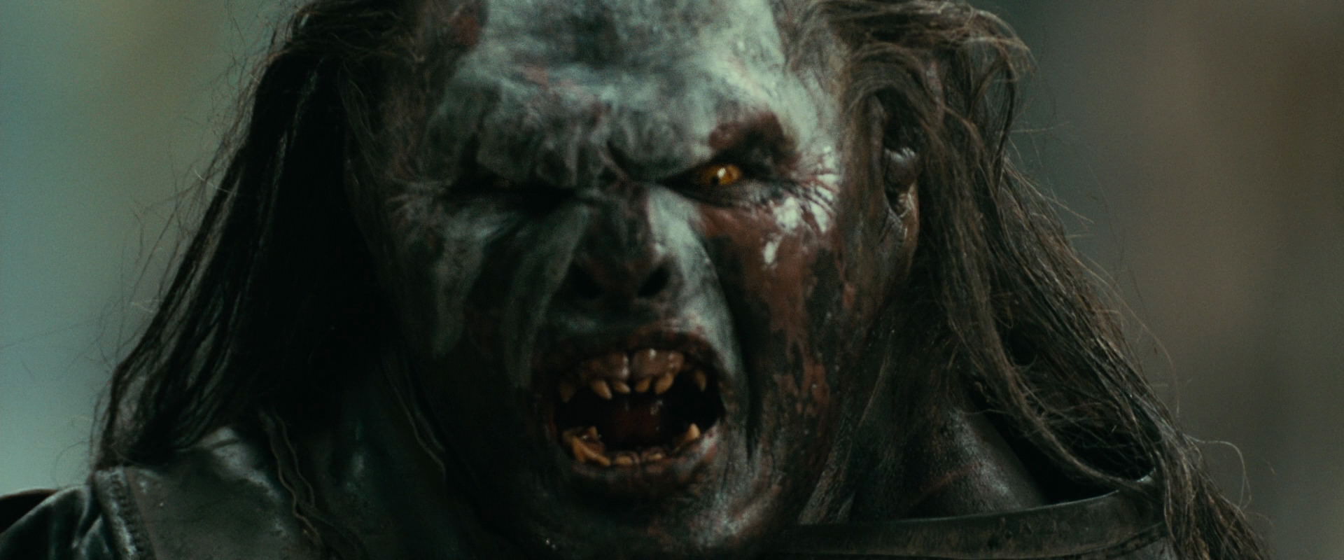 The Lord of the Rings: The Fellowship of the Ring (2001) screencap 22437