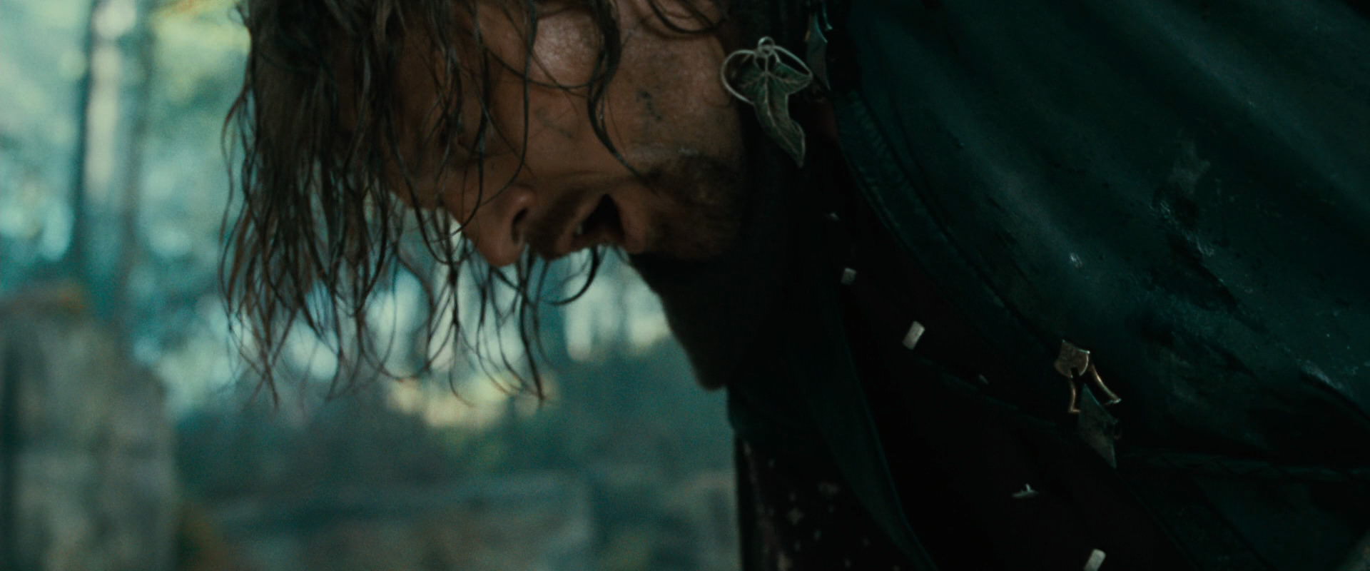The Lord of the Rings: The Fellowship of the Ring (2001) screencap 22440