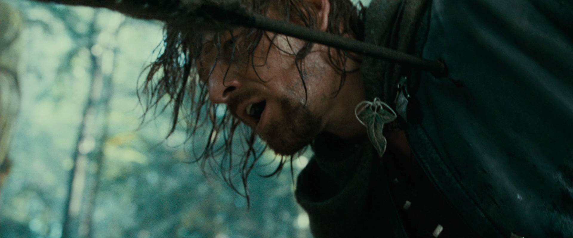 The Lord of the Rings: The Fellowship of the Ring (2001) screencap 22443